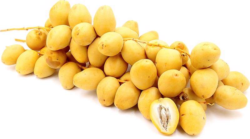 kharak date